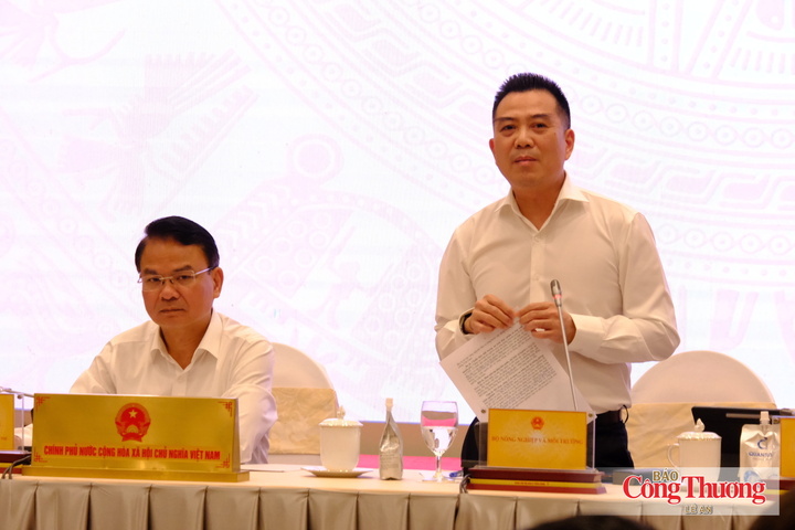 Thứ trưởng Bộ Nông nghiệp và Môi trường Đặng Ngọc Điệp thông tin về tình hình xuất khẩu nông sản. Ảnh: Lê An