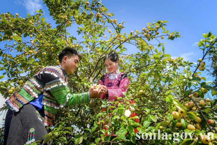 Kết hợp giữa trải nghiệm nông nghiệp với du lịch sinh thái và văn hóa bản địa.