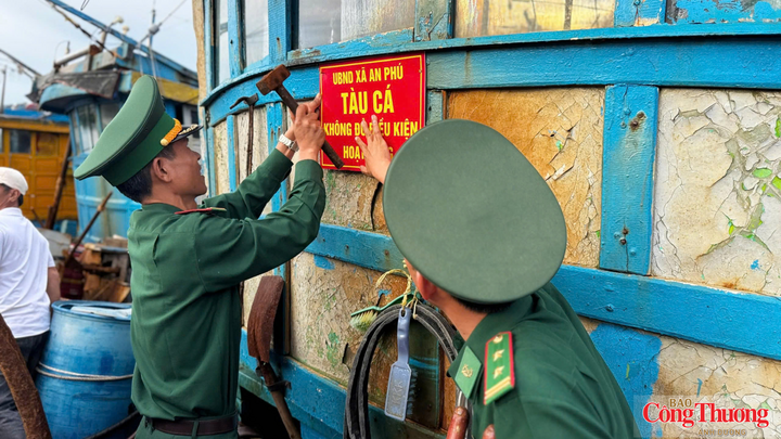 Công tác kiểm soát tàu cá tại Quảng Ngãi đang được siết chặt.
