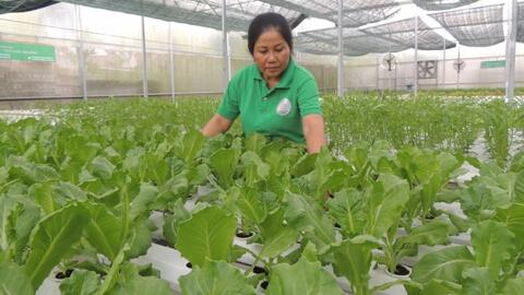 Thành lập Mạng lưới Doanh nghiệp thích ứng với biến đổi khí hậu khu vực ĐBSCL 