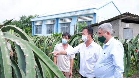 Long An: Kiểm tra tình hình tiêu thụ tôm, thanh long tại huyện Châu Thành