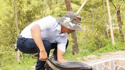 Nuôi cá xứ lạnh kết hợp làm du lịch