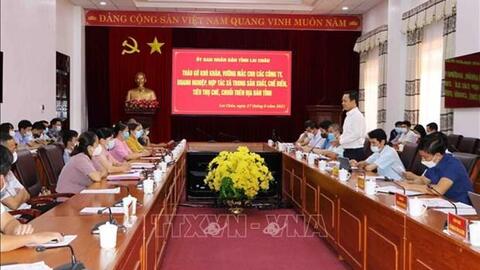 Lai Châu bàn giải pháp gỡ khó cho tiêu thụ sản phẩm chè, chuối