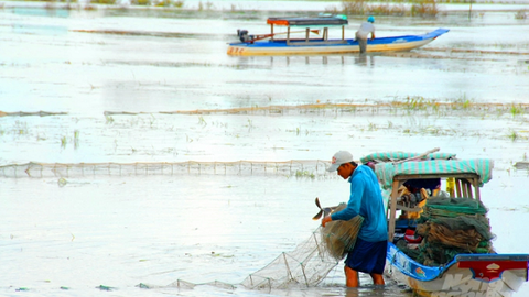 Nông dân muốn trồng lúa, chính quyền muốn đón lũ