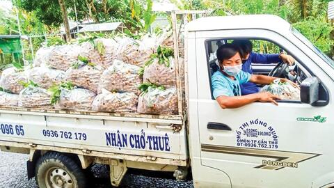 Hỗ trợ hợp tác xã đưa nông sản lên sàn thương mại điện tử 