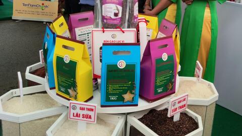 Nâng giá trị sản xuất các loại lúa gạo ngon, chất lượng cao ở ĐBSCL 