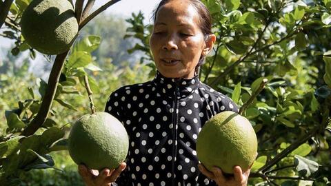 Chị Ảnh khởi nghiệp! 