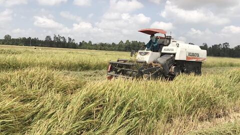 Cờ Đỏ đẩy mạnh phát triển kinh tế tập thể 