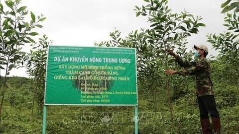 Kỳ vọng mở hướng đi mới cho vùng nông thôn Phú Yên