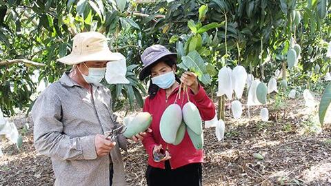 Con đường sáng của nông sản Việt Nam