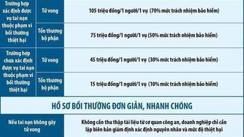 Toàn bộ thông tin cần biết về Bảo hiểm bắt buộc ô tô, xe máy