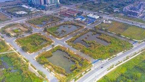 Công ty Ngôi Sao Việt sẽ chấp nhận chịu mọi chế tài về việc đơn phương chấm dứt Hợp đồng