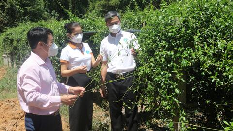 Ngân hàng Chính sách xã hội đồng hành hỗ trợ người dân, doanh nghiệp