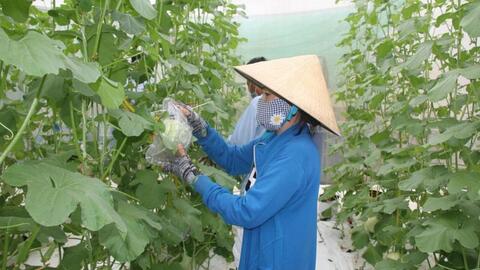 Ứng dụng khoa học và công nghệ để nông nghiệp ĐBSCL thích ứng bối cảnh mới 