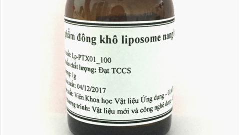 Tạo hạt nano mang thuốc chữa ung thư từ đậu nành