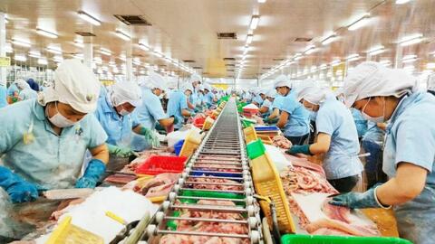 Thốt Nốt - Nhiều giải pháp thúc đẩy phát triển kinh tế 