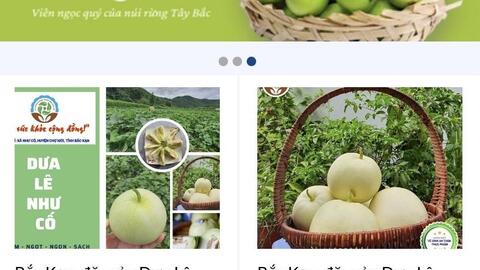 Bắc Kạn đẩy mạnh ứng dụng thương mại điện tử trong tiêu thụ các sản phẩm OCOP