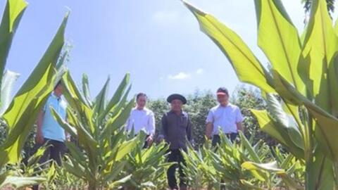 "Lấy ngắn nuôi dài" - phương pháp giúp nông dân Bình Phước cải thiện thu nhập