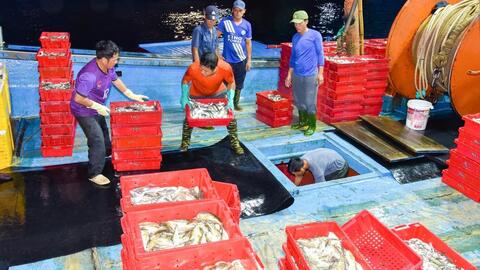 Lãnh đạo Hội Nông dân tỉnh thăm, tặng quà ngư dân Cửa Lò