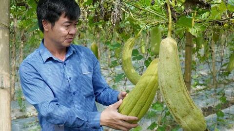 Người biến xơ mướp thành đồ gia dụng, xuất đi Tây thu về tiền tỷ