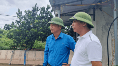 Những nông dân chuyên nghiệp: Thành công từ ngã rẽ bất ngờ (Bài 1)