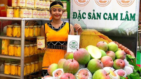 Xoài sấy muối ớt và giấc mơ đưa sản vật địa phương đi xa của nhóm bạn trẻ ở Cam Lâm