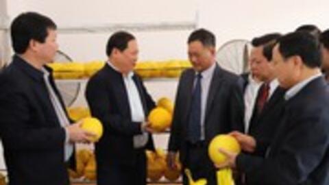 Hòa Bình: Chuyến bưởi Diễn đầu tiên xuất khẩu sang Vương Quốc Anh