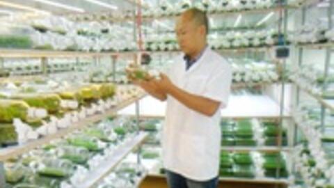 Đòn bẩy tái cơ cấu nông nghiệp, gắn xây dựng nông thôn mới ở TP. Hồ Chí Minh