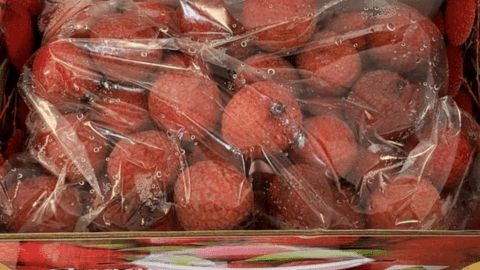 Vải thiều 'đi máy bay' từ Úc về Việt Nam, giá 1,3 triệu đồng/kg