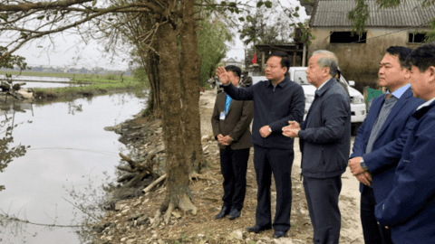 Quảng Điển cần mạnh dạn chuyển đổi diện tích lúa thấp trũng sang nuôi trồng thủy sản