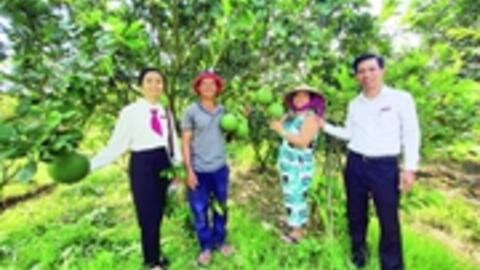 Đại Lộc phát huy tiềm năng tạo đột phá cho nông nghiệp, tạo giá trị hơn 1.500 tỷ đồng
