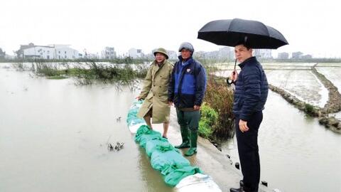 Tích cực đấu úng cứu lúa