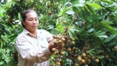 Nông dân vùng cao thay đổi tư duy làm nông nghiệp