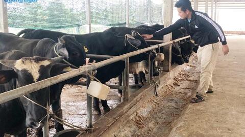 Lợi thế của người trẻ làm nông nghiệp