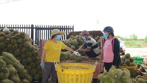 Trung Quốc mở cửa, nhiều nông sản Việt Nam tăng giá gấp đôi