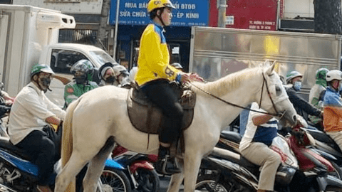 TP.HCM: Xử phạt người đàn ông cưỡi ngựa đi trên đường