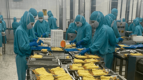 Xuất khẩu tôm đối mặt bài toán khó! 