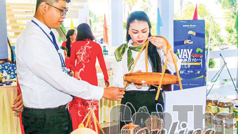 Hỗ trợ hợp tác xã phi nông nghiệp phát triển hiệu quả 