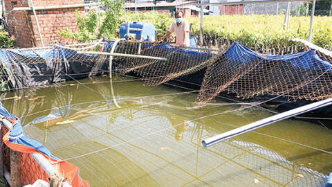 ÐBSCL chủ động phòng, chống hạn, xâm nhập mặn 