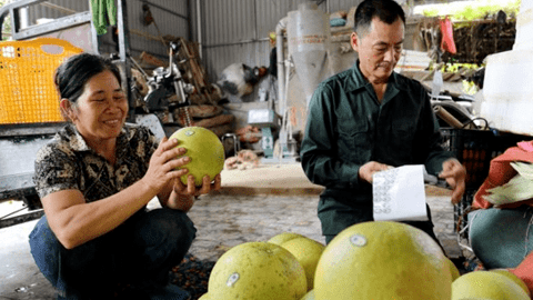 Tuyên Quang ứng dụng công nghệ nhằm nâng cao giá trị gia tăng
