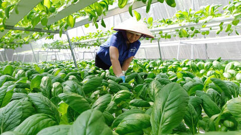 Đắk Nông triển khai công tác đảm bảo ATTP, nâng cao chất lượng nông, lâm, thủy sản năm 2023