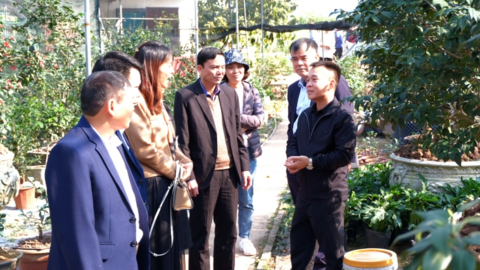 Hà Nội thẩm định 2 xã nông thôn mới nâng cao của huyện Mê Linh