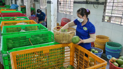 Thúc đẩy  số hóa truy xuất nguồn gốc nông sản 