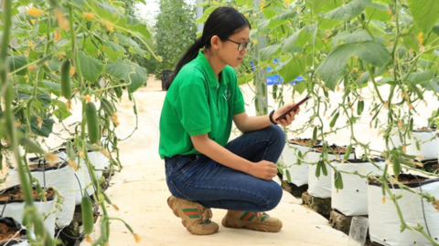 Số hóa truy xuất nguồn gốc nông sản, mở hướng cho doanh nghiệp tư nhân tham gia