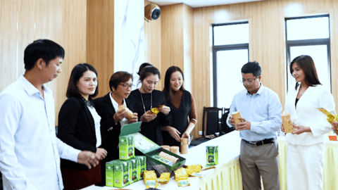 Cây chè giúp người dân làm giàu trên quê hương