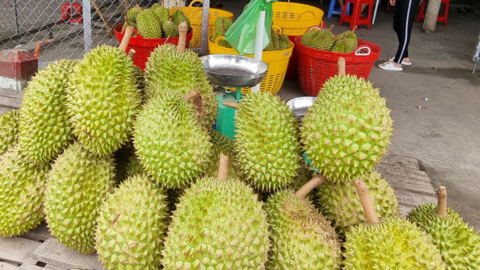 Giá sầu riêng giảm 