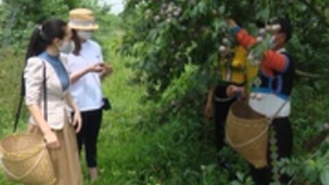 Nông dân hưởng lợi cao nhờ áp dụng khoa học kỹ thuật