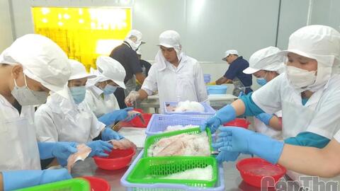 Phấn đấu có trên 60% hợp tác xã hoạt động có hiệu quả 