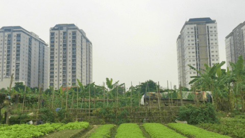 Trình tự, thủ tục gia hạn thuế đất, người dân, doanh nghiệp cần biết