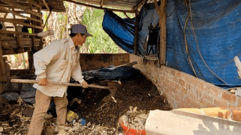 Phát triển kinh tế tuần hoàn trong nông nghiệp ở Bà Rịa-Vũng Tàu: Lợi đơn lợi kép